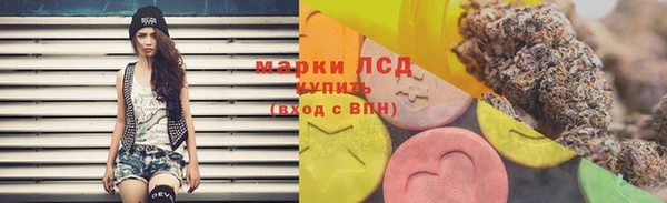 дживик Дедовск