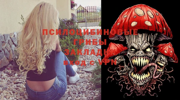 гашик Лихославль
