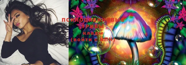 гашик Лихославль