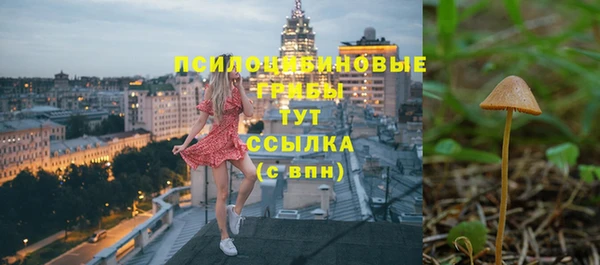 гашик Лихославль