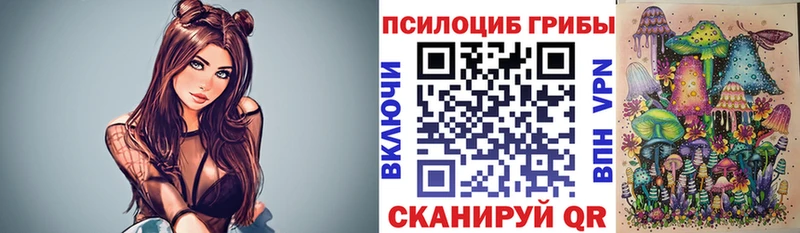 Галлюциногенные грибы Psilocybe Онега