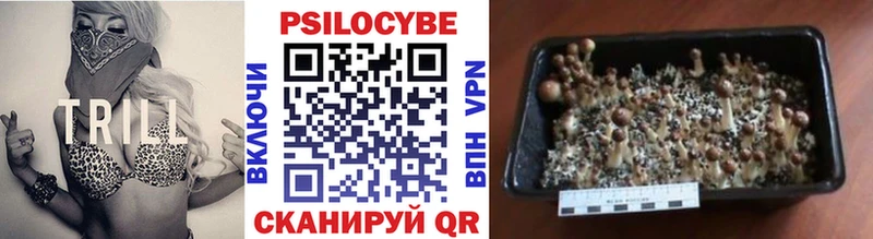 Галлюциногенные грибы Psilocybe Онега